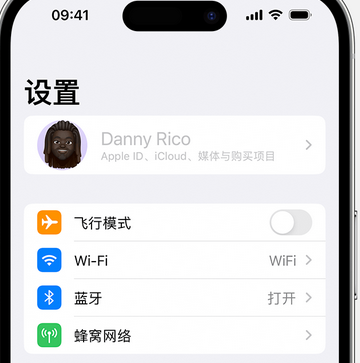 略阳appleID维修服务iPhone设置中Apple ID显示为灰色无法使用 