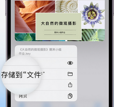 略阳apple维修中心分享iPhone文件应用中存储和找到下载文件