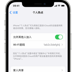 略阳apple服务站点分享iPhone上个人热点丢失了怎么办 