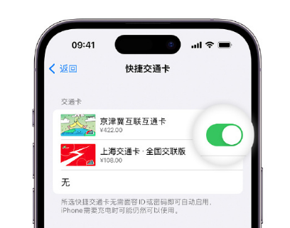 略阳apple维修点分享iPhone上更换Apple Pay快捷交通卡手绘卡面 