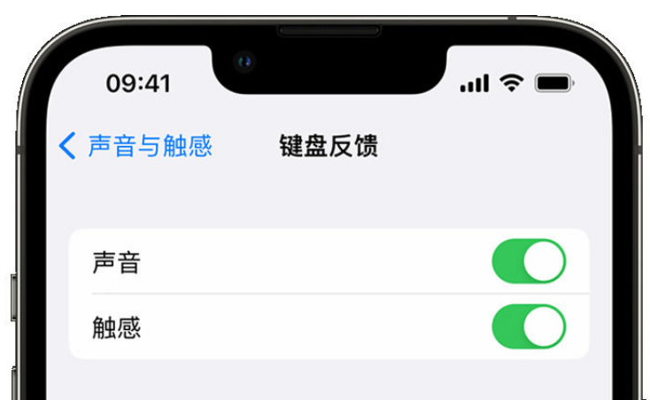 略阳苹果手机维修分享iPhone 14触感键盘使用方法 