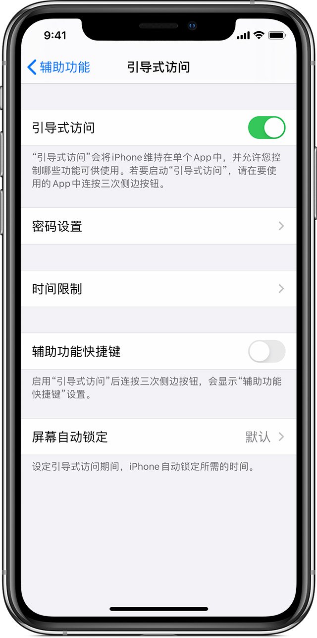 略阳苹果手机维修分享如何在 iPhone 上退出引导式访问 