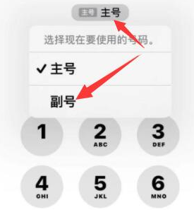 略阳苹果14维修店分享iPhone 14 Pro Max使用副卡打电话的方法 