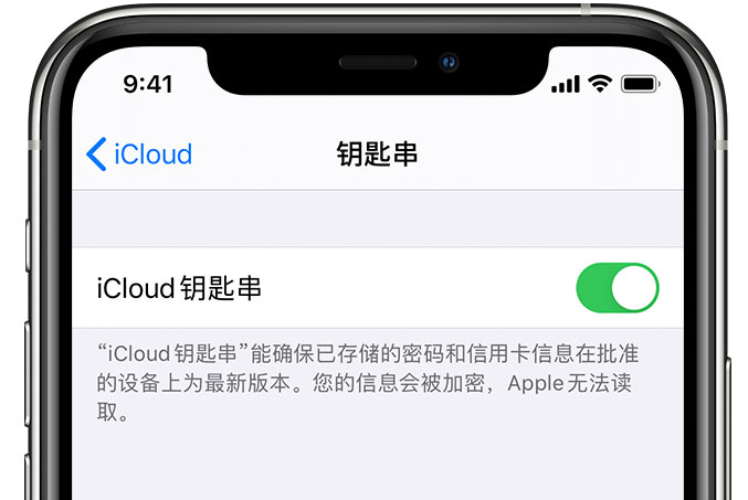 略阳苹果手机维修分享在 iPhone 上开启 iCloud 钥匙串之后会储存哪些信息 